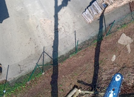 havarijní a rizikové kácení Stanislav Kamarád