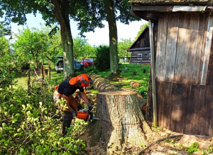 havarijní a rizikové kácení Stanislav Kamarád