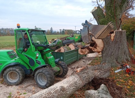 havarijní a rizikové kácení Stanislav Kamarád