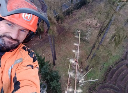 havarijní a rizikové kácení Stanislav Kamarád