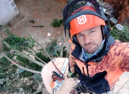 havarijní a rizikové kácení Stanislav Kamarád