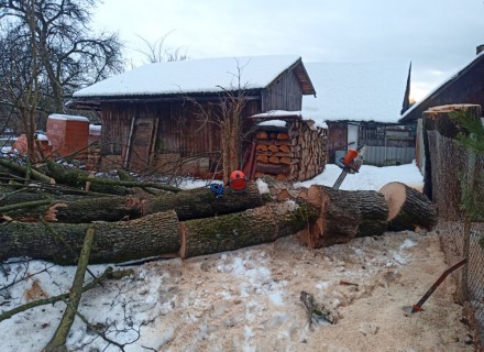 havarijní a rizikové kácení Stanislav Kamarád