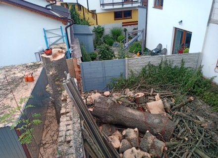 havarijní a rizikové kácení Stanislav Kamarád