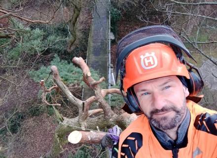 havarijní a rizikové kácení Stanislav Kamarád