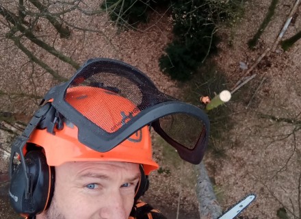 havarijní a rizikové kácení Stanislav Kamarád