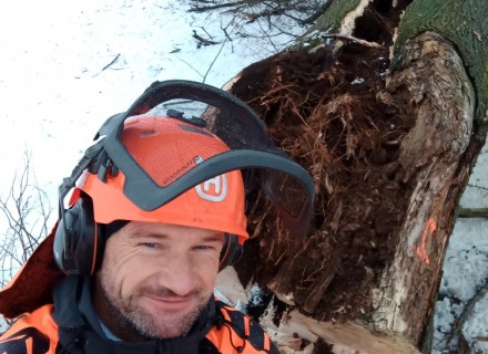 havarijní a rizikové kácení Stanislav Kamarád